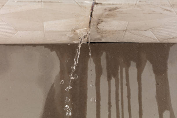 Professional Burst Pipe Cleanup technician working in Grover, CO